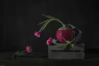 Jacobs, Lydia: Tulips Chitcha