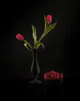 Wei, and Siyu: Tulips and Raspberry