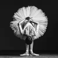 Yakovlev, Alexander: Ballerina at class