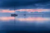 Eisenmann, Ulrike: Winter rest