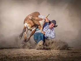Ma, Frank: Steer Wrestling