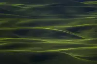 Zhong, John-Mei: Wavy Land