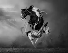 Wu, Irene: The End Justifies The Means