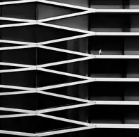 Goli, Sara: parallel lines