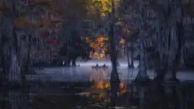 Zheng, Michael: Mystic Morning
