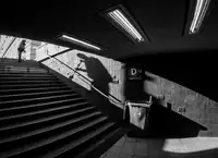 Sándor, Kelemen: Scavenger