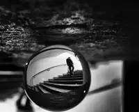 Momanu, Mirela: Living In A Bubble