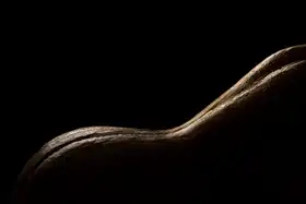 Popescu, Olivia: Erotic butternut pumpkin