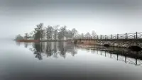 Pettersson, Benny: Fog at the stone bridge