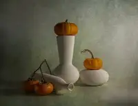 Zhong, John-Mei: Still life of persimmon and pumpkin