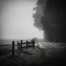 Wasinger, Renate: lost path
