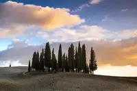 Pietro, Biffi: Cipressi