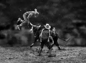little7: Bull Riding #5