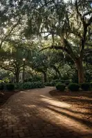 Mossholder, Tim: Oaks in Savannah