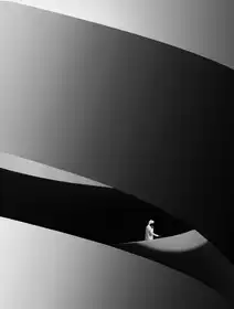 Goli, Sara: Among the shape