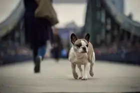 Willers, Heike: Strangers