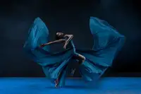 Suhardjo, Lisdiyanto: Butterfly Wardrobe