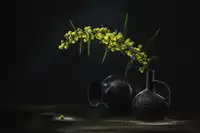 Kulinsky, Vadim: Golden Acacia 1
