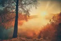 Kado, Pawel: Gold of the fall
