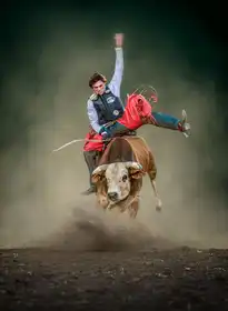 Ma, Frank: Keeping Balance