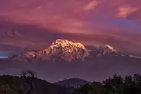 Wiolett: Annapurna Dakshin