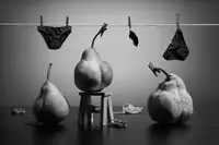 Glinka, Victoria: The underwear for a pear 2