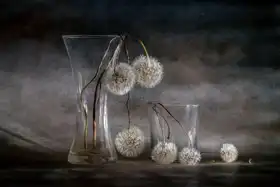 Kopcev, Igor: Autumn balls