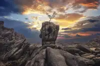 Seo, Tiger: Pine tree on the rock