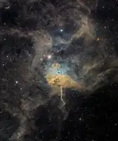Chander, Vikas: Spider Nebula