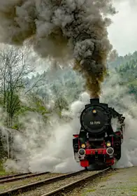 Susta, Miro: Full steam ahead