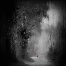 Wasinger, Renate: the loneliness in the forest