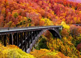 Sono, Hidenori: The art arch bridge