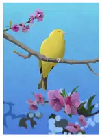 Caballero, Franco: Goldfinch