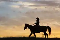 Lester, D Linda: Cowgirl fun with Silhouette