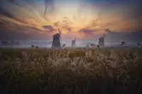 Seo, Tiger: Before sun rise on Sorae