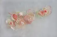Uranga, Pedro: Roses.