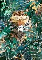 Manovski, Sarah: R&B Tiger in the jungle