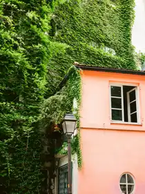 Zwart, Raisa: Green and Pink || Montmartre Paris
