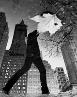 Lesica, Ivan: NY Reflections