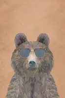 Manovski, Sarah: Cool Bear Portrait