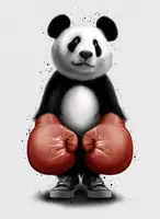 Lawless, Adam: PANDA BOXER