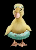 Lawless, Adam: DUCK