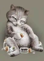 Lawless, Adam: greedy cat