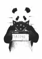 Solti, Balazs: Bad panda