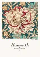 Morris, William: Honeysuckle