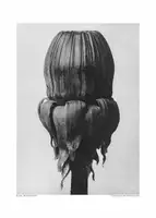 Blossfeldt, Karl: Taraxacum Officinale