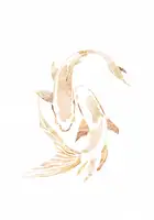 Manovski, Sarah: Gold White Japan Koi Fish