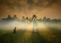 Hossain, Nayon Md: Natural beauty of the village