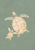 Manovski, Sarah: Gold Sage Green Turtles