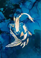 Manovski, Sarah: Gold koi fish swimming
